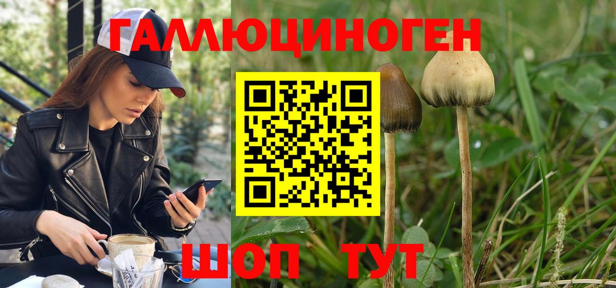 Галлюциногенные грибы MAGIC MUSHROOMS Сызрань